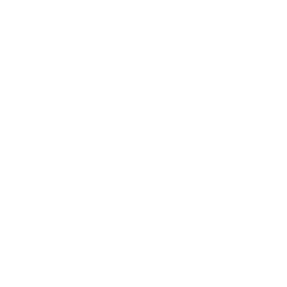 palm tree logo